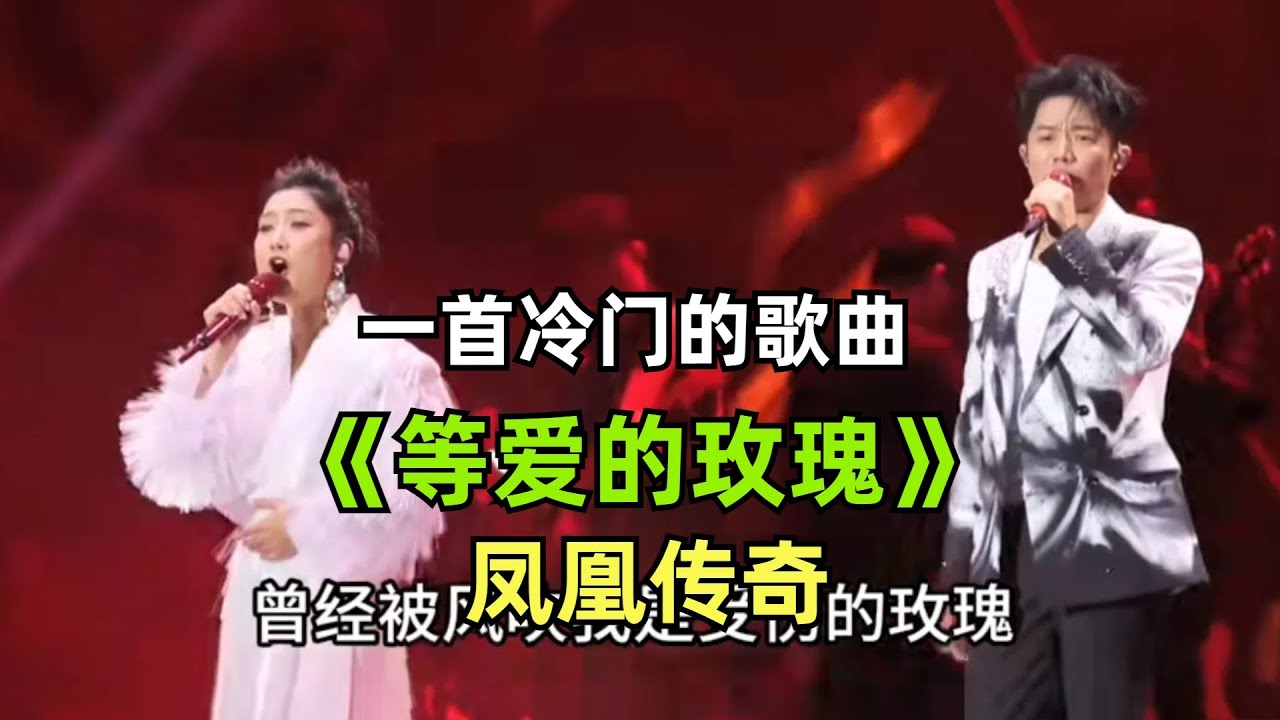 《等爱的玫瑰》【凤凰传奇】完整版 | 一首冷门歌曲送给大家 | 全场大合唱 | 凤凰传奇演唱会 | 玲花曾毅 |