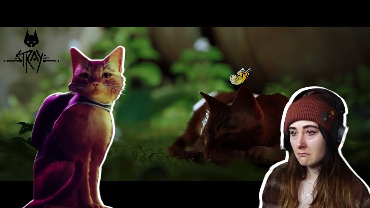 My Emotional Journey Through Stray 🐈 | Part 1