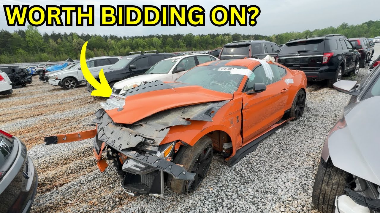 WALKNG AROUND COPART CHECKING OUT POTENTIAL PROJECTS