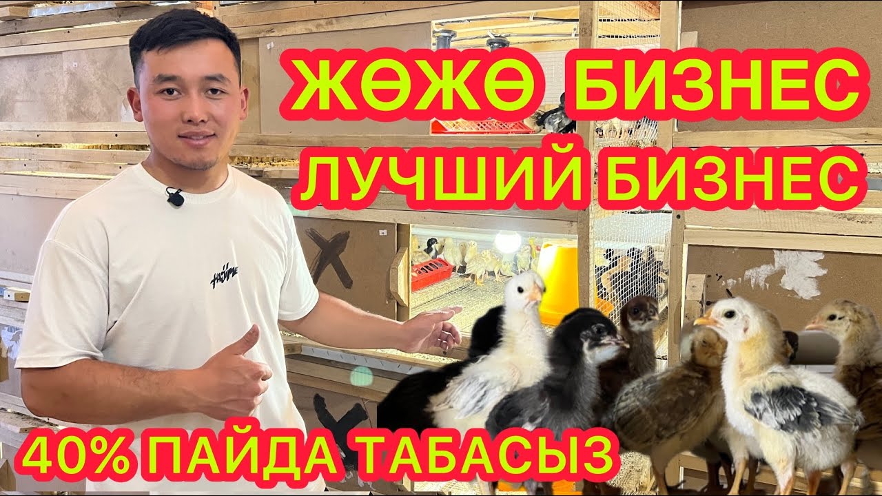 ЖӨЖӨ БИЗНЕСтен 40% таза ПАЙДА ТАПСА БОЛОТ  |  Даяр БИЗНЕС сатылат