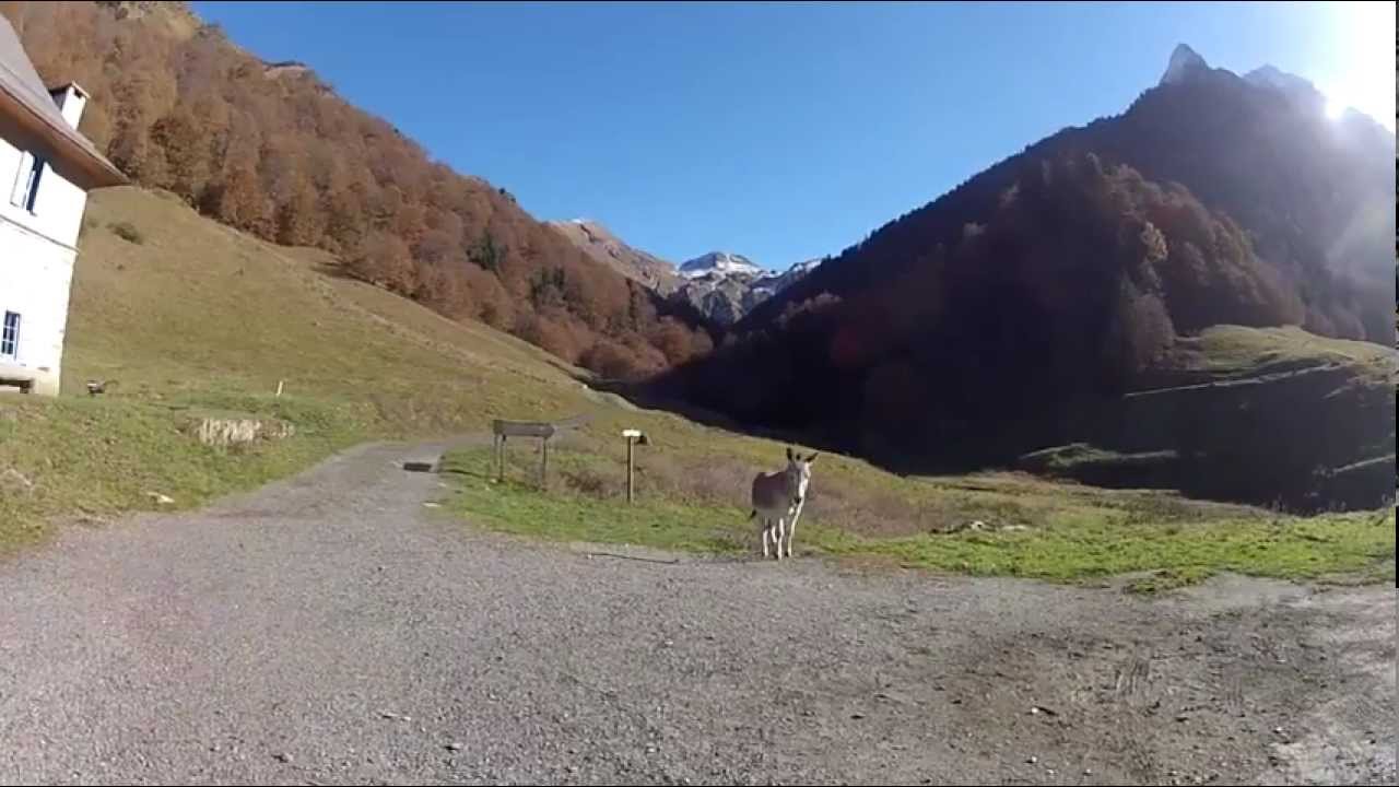 Rencontre avec un &eacute;lu local