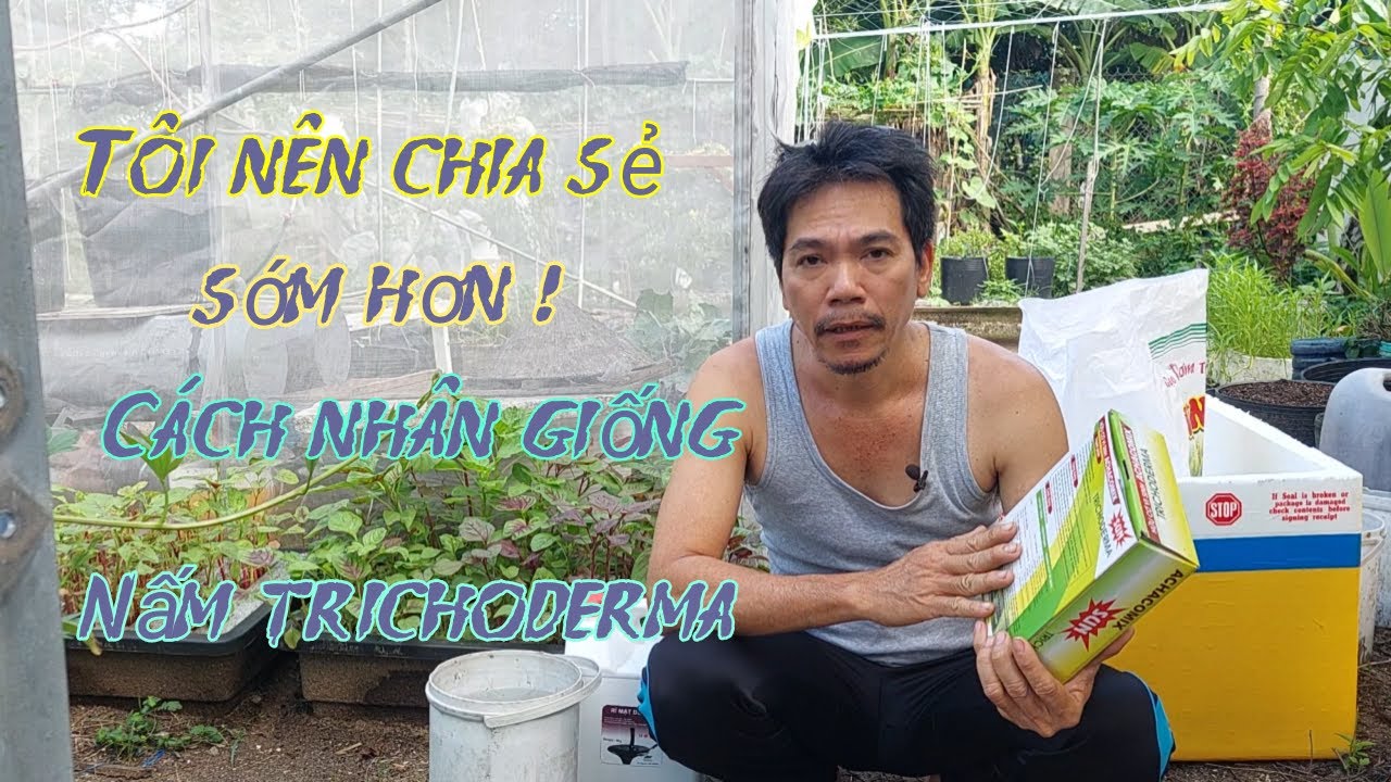 Tôi nên chia sẻ sớm hơn- Cách nhân giống nấm trichoderma