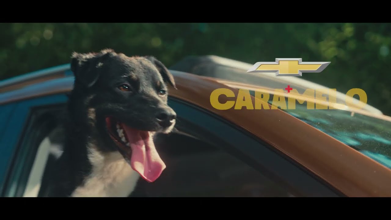 Tracker Caramelo | Adote um filme: Maizê