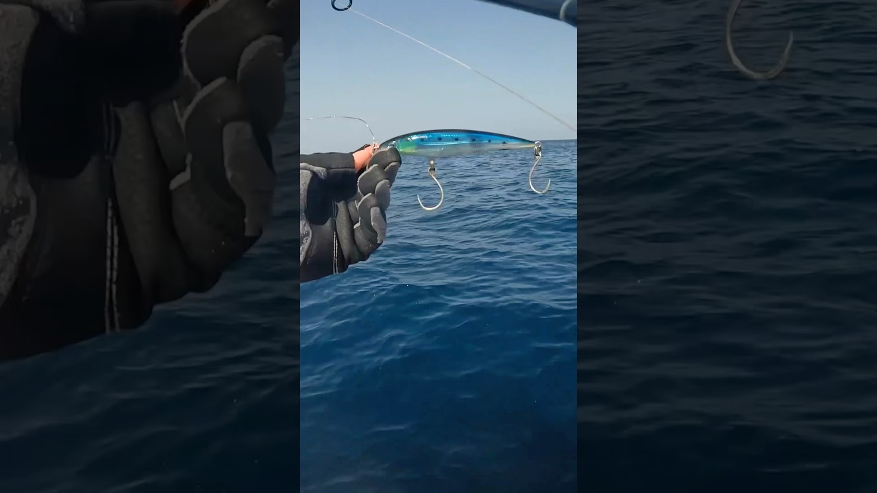 Rapala&reg; X-Rap Long Cast #fishing #pescaria #pescanomar #angler #casting #rapala