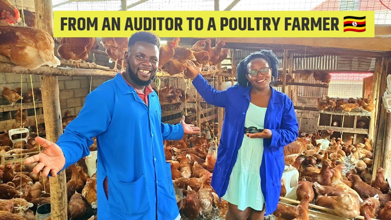 She Quit Her Professional Career To Do Poultry Farming & Now Earns Millions In Uganda 🇺🇬