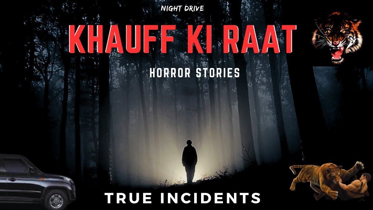 बाघ की Territory और दर | Horror Stories | Night Drive In Dense Forest