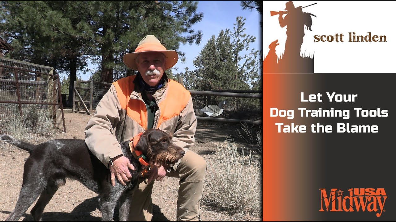 Let Your Dog Training Tools Take the Blame | Scott Linden