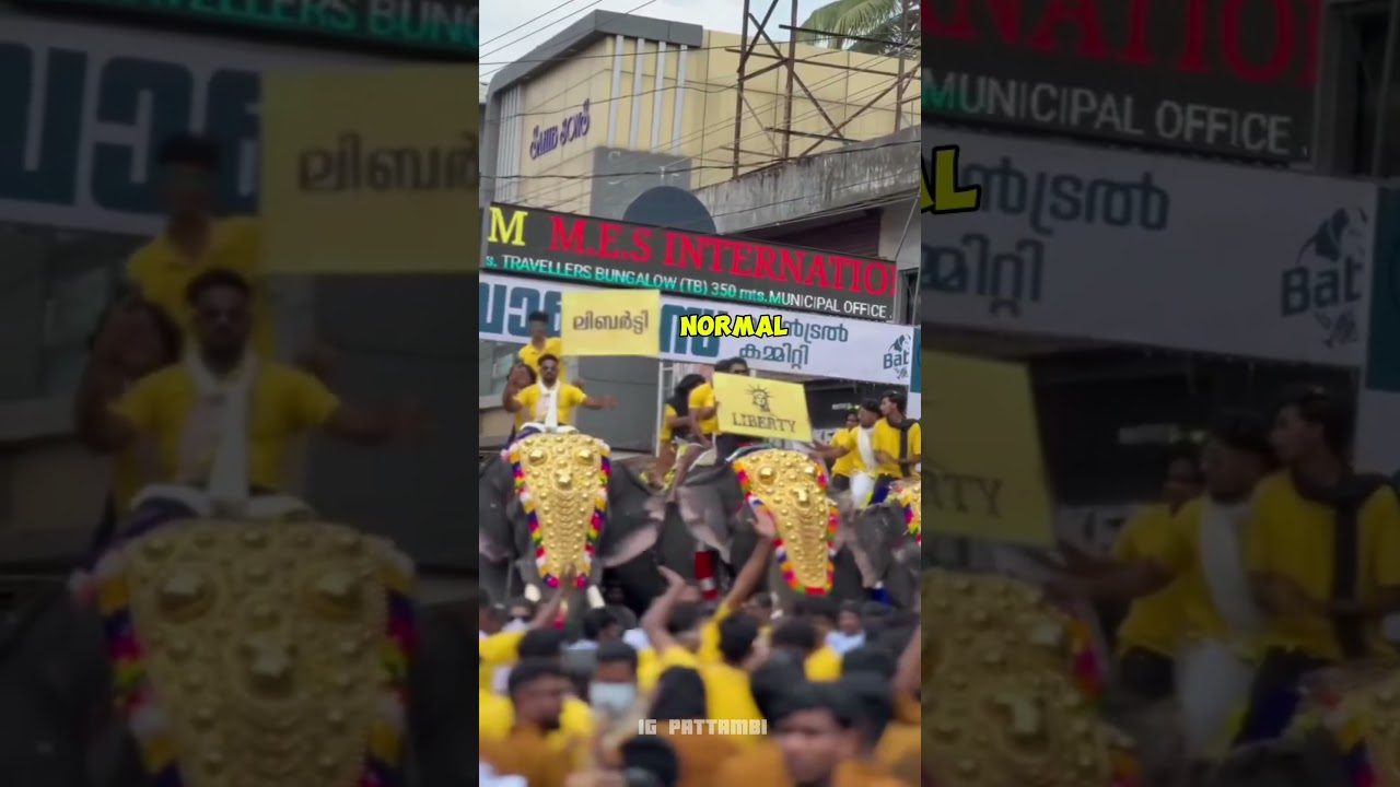 പട്ടാമ്പി നേർച്ച 💎📈