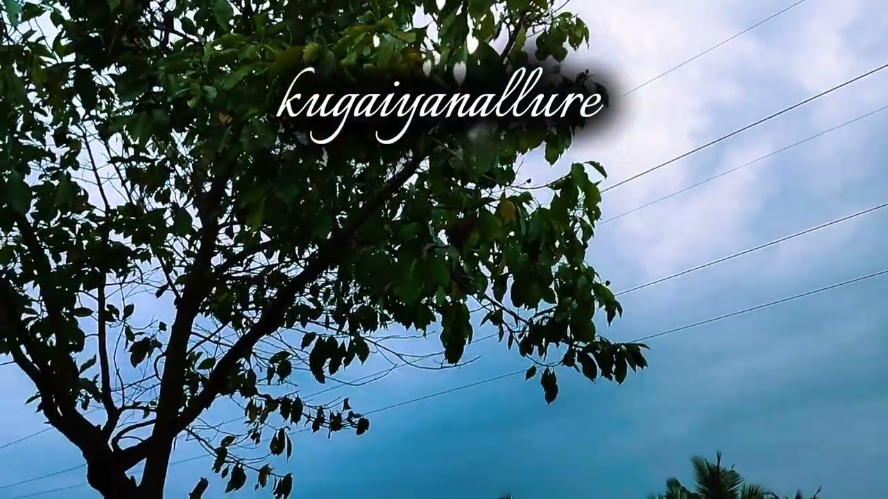 ✨🌿🍃