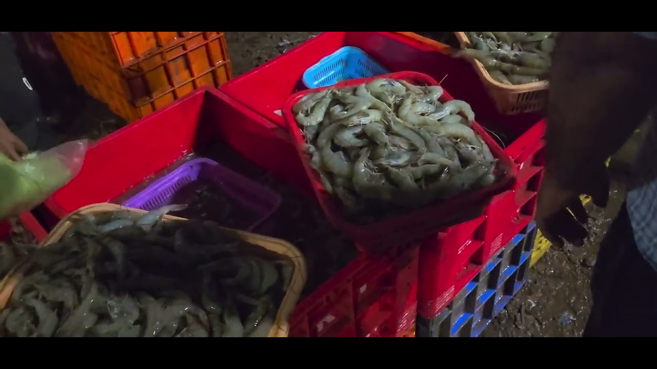 fish Purchase ||Madgao market||goa||Restaurant ||#vlogs #vlogger #goa #fishmarket