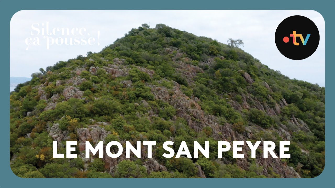 Le mont San Peyre - Silence ça pousse !