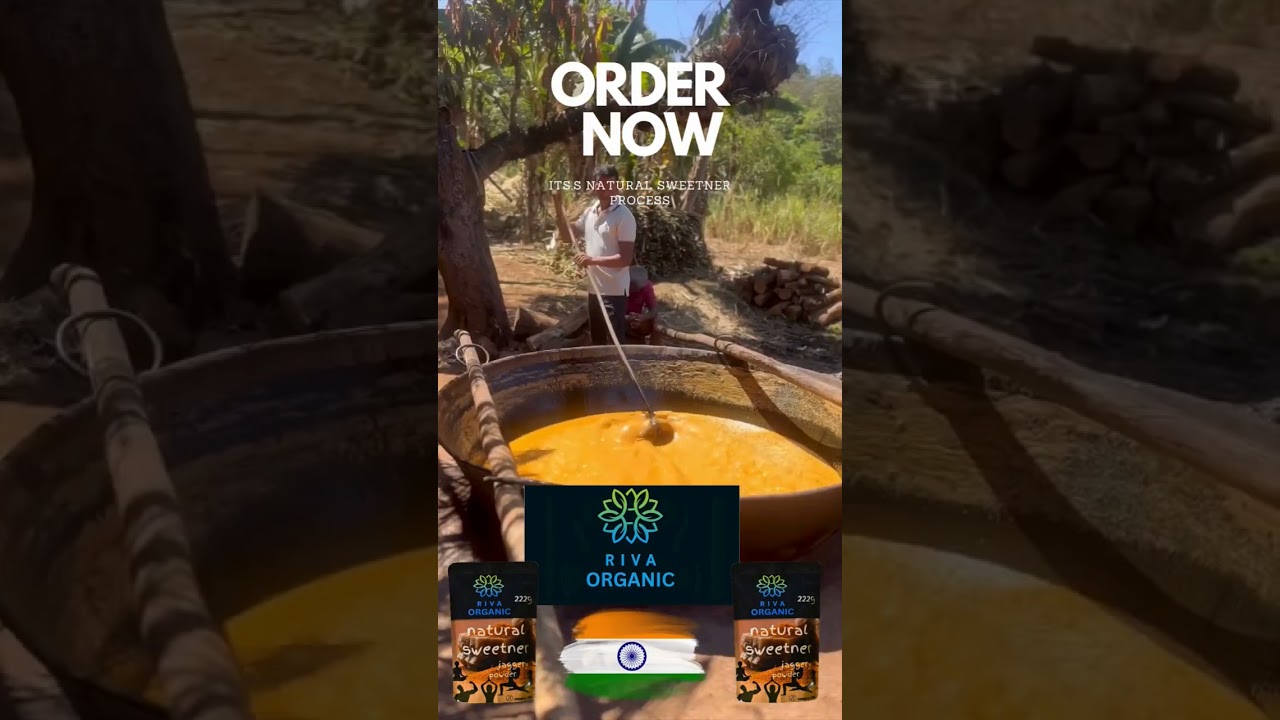cane jaggery making | jaggery making process from sugar cane | cane jaggery powder