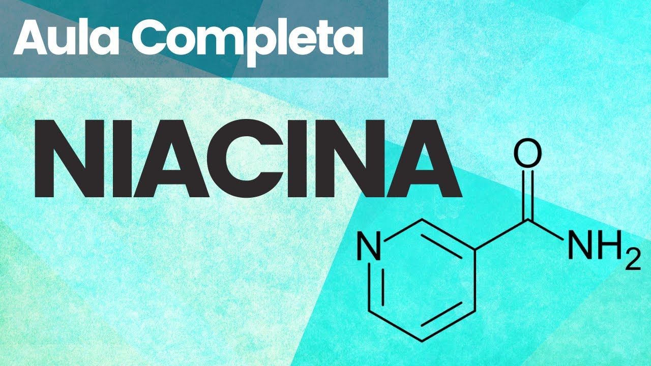 AULA: VITAMINA B3