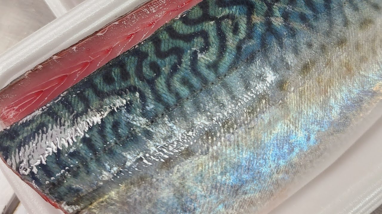 律丸の鮮魚販売🐟今日の魚介は「いろいろ魚とクジラのウデモノ」です！！