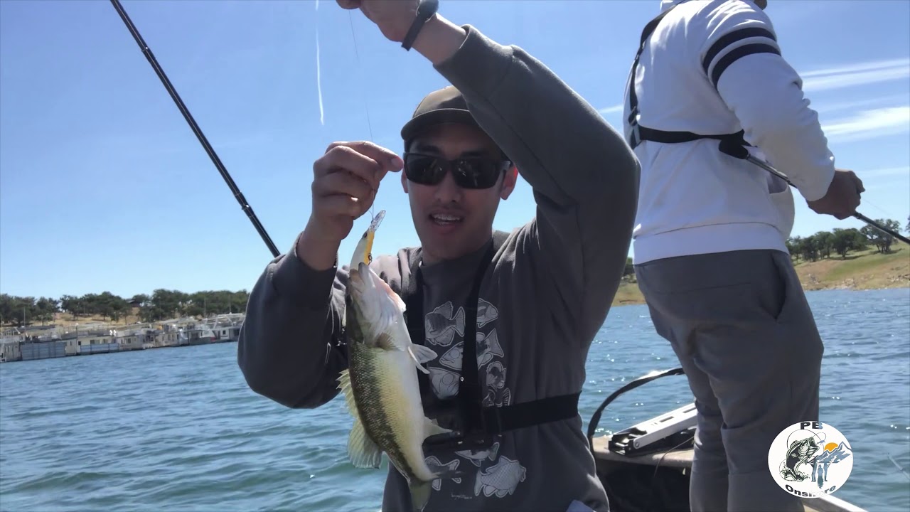 Best PRESPAWN Lures!