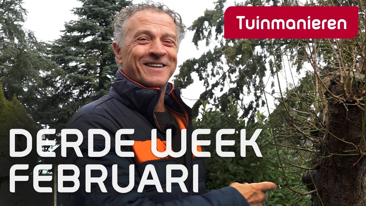 Wat te doen derde week februari? | Winter | Tuinmanieren