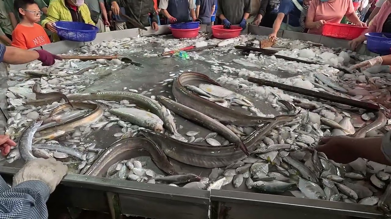 Unbelievable Scene! Mountains of Fresh Seafood on a Giant Ice Table – Grab Yours Before It's Gone! 明