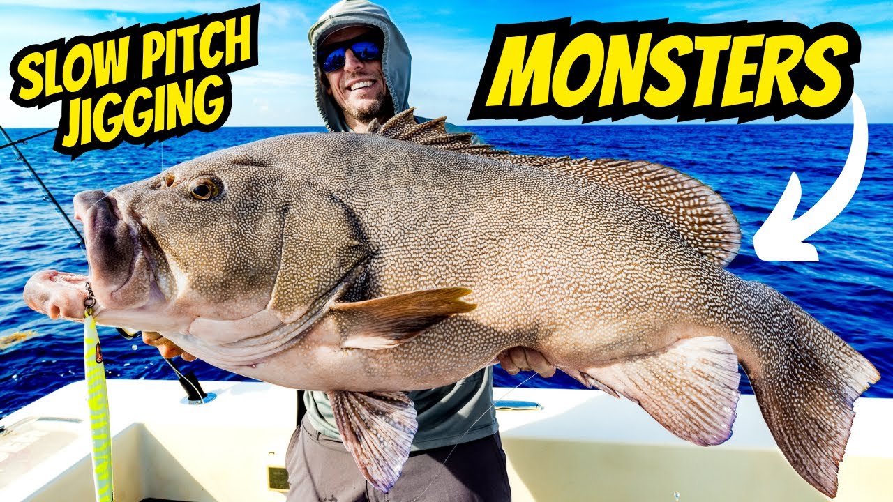 Once-in-a-Lifetime Exotic Monster Caught Slow Pitch Jigging | Deep Drop Kitty Mitchell Grouper