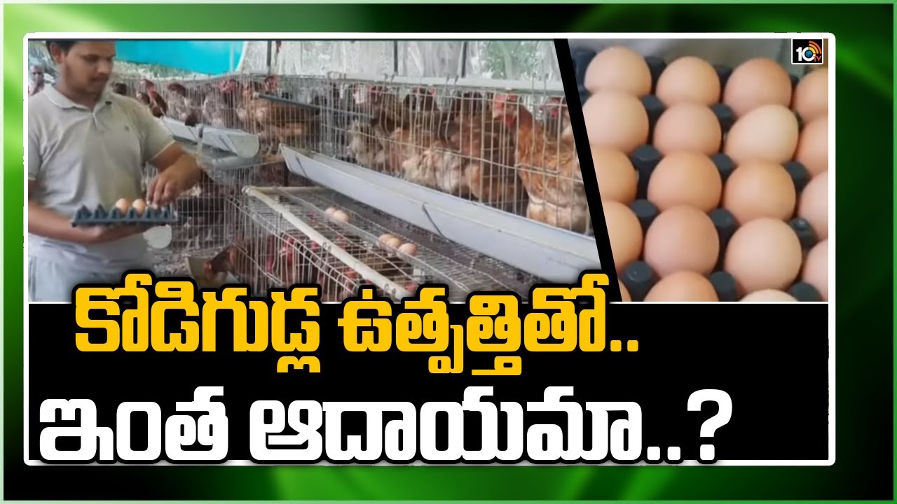 కోడిగుడ్ల ఉత్పత్తితో.. ఇంత ఆదాయమా..?: Success Story of Farmer Sai Gaman | Matti Manishi | 10TV News