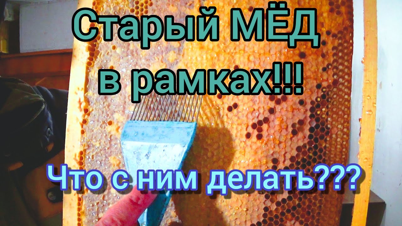 Мёд сел в сотах! Что с ним можно сделать, несколько робочих вариантов.
