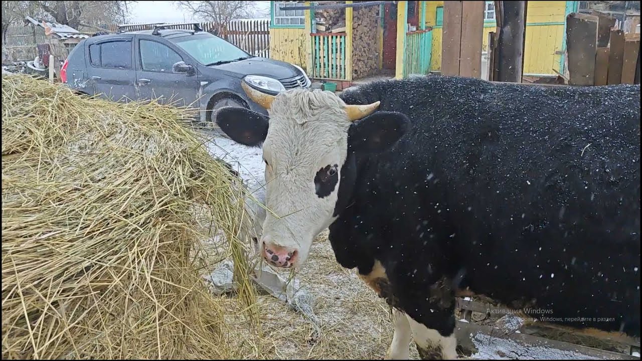 18.02.25 г. 