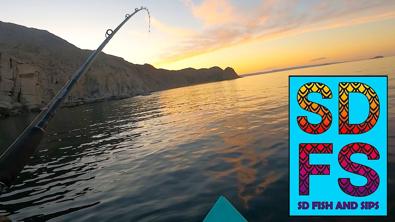 Solo Skiff Fishing Baja California Sea of Cortez | Gonzaga Bay For Trigger Fish Spring 2023 Ep1 SDFS