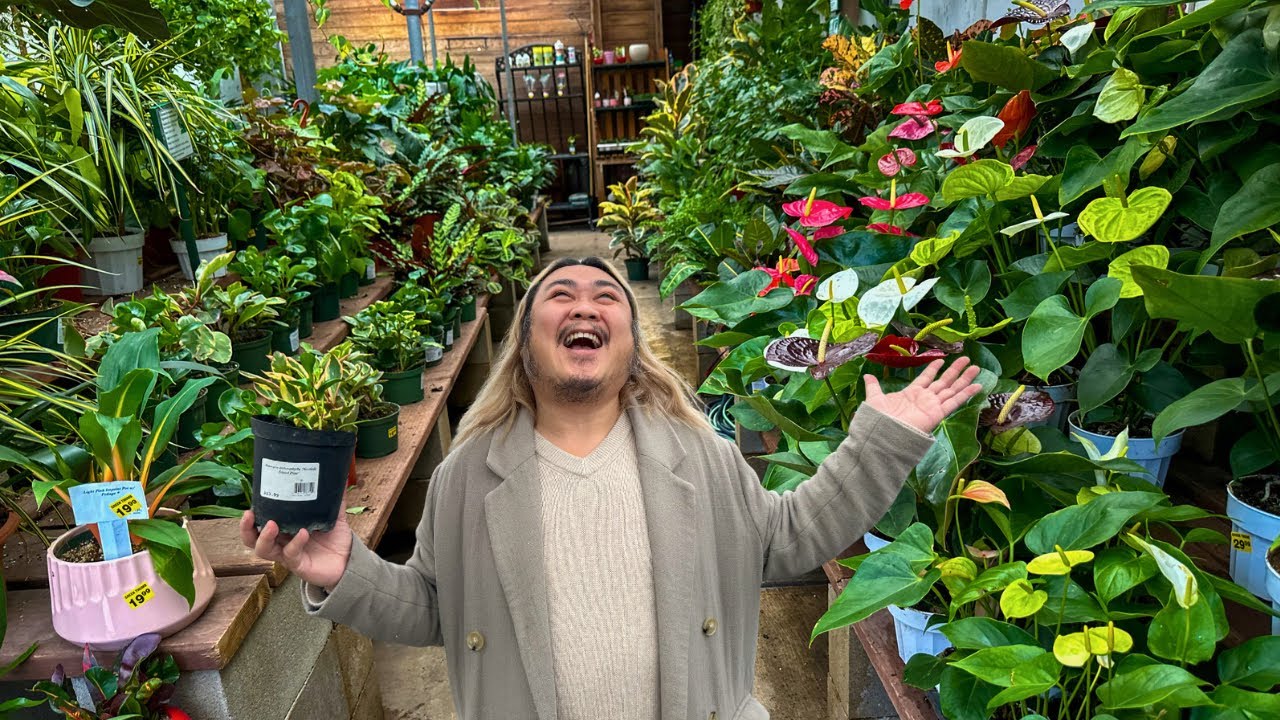 Finally Picked-Up a Wishlist Plant!!!