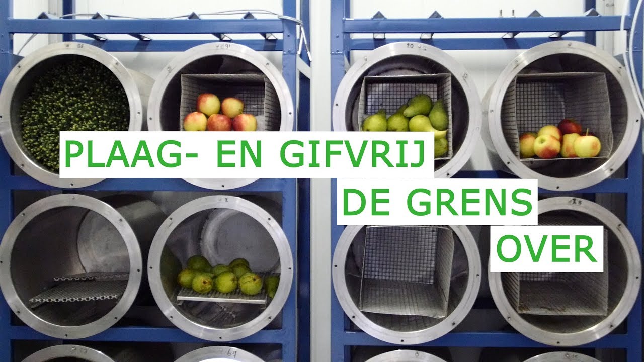 Plaag- en gifvrij de grens over (KennisOnline in beeld 2018)