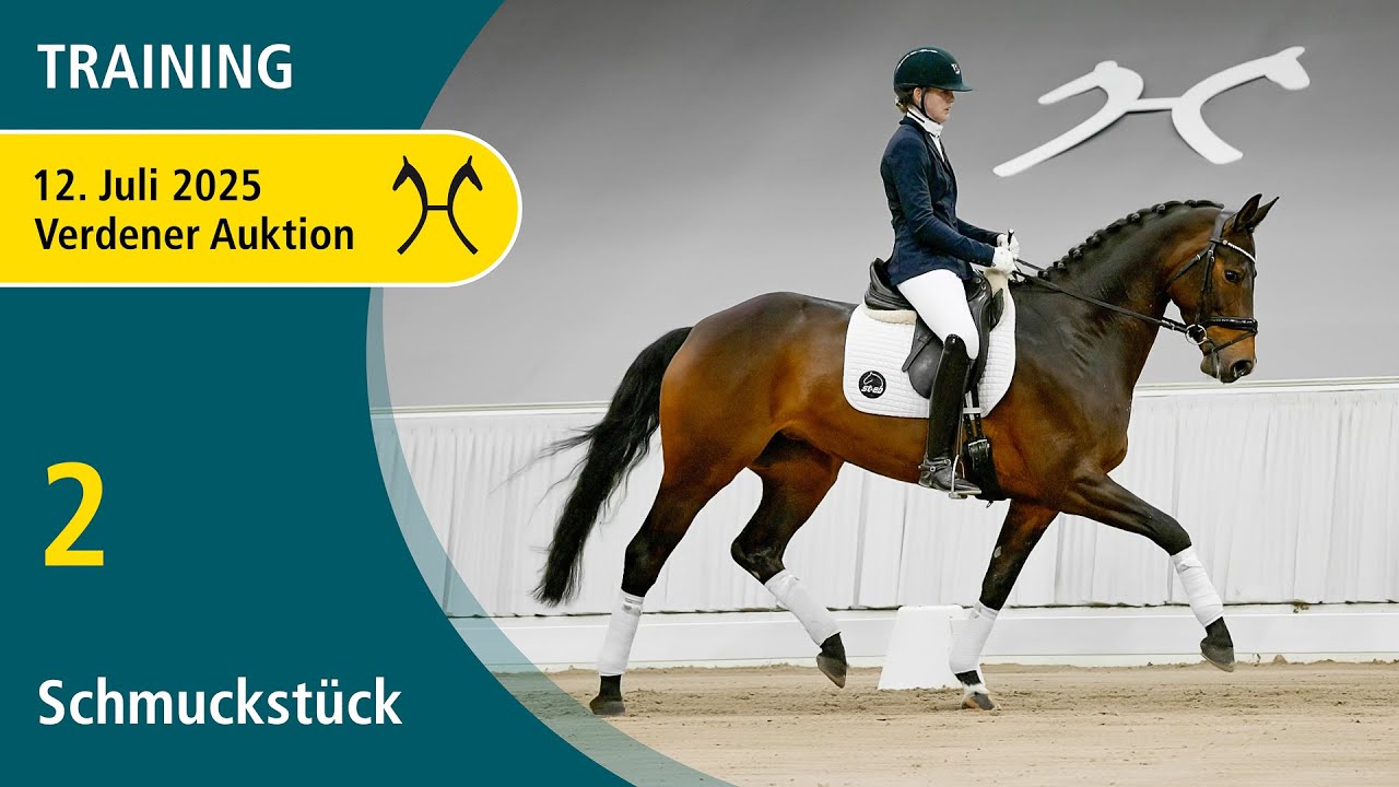No. 2 Schmuckst&uuml;ck by Scolari - Weltmeyer | Verden Auction Online - Sporthorses - July, 12th