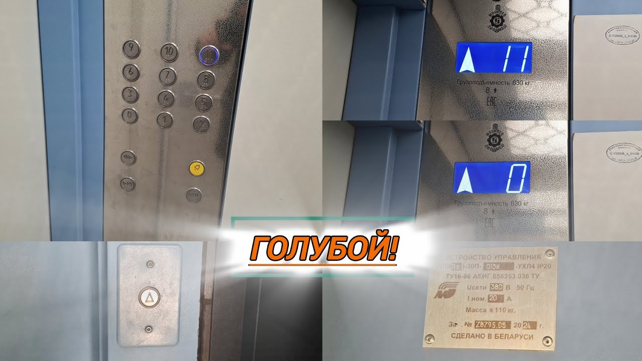 🤫МЛМ!🤫 Голубой, проходной, музыкальный лифт МЛМ 2024 года. Адрес: Улица Кошевого, дом 2Б, подъезд 1