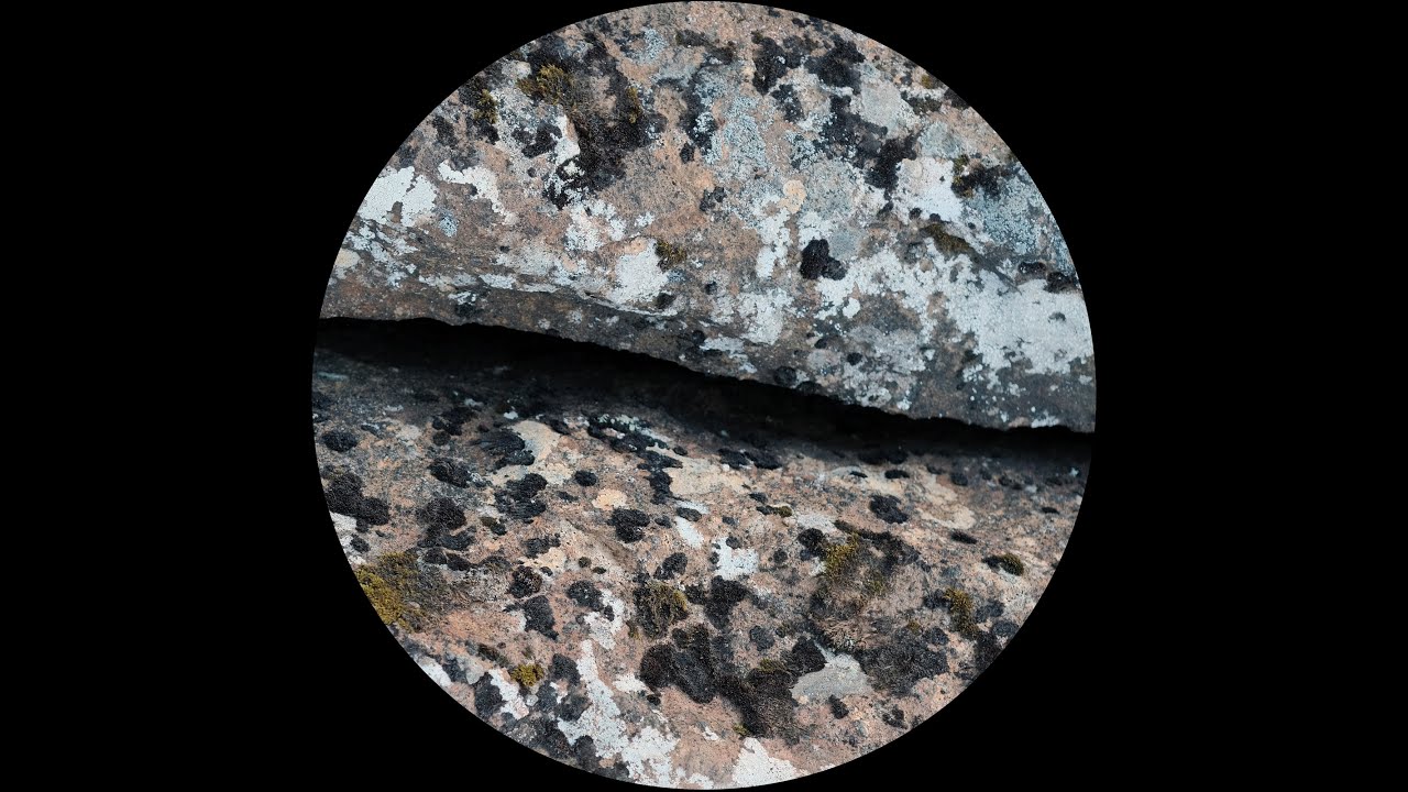 lovetrip -- sea drift