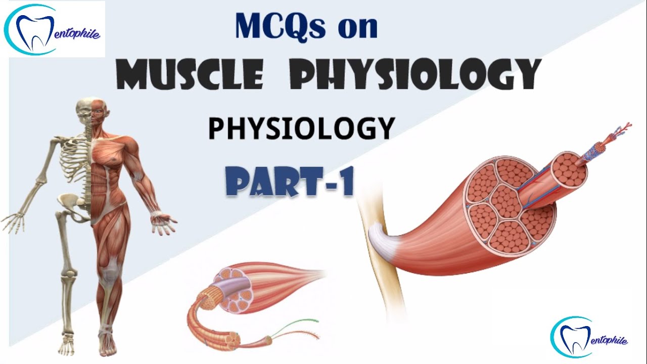 MCQs on  Muscle Physiology (Part 1) || Physiology || Dentophile