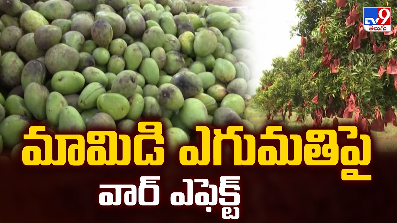Effect of Iran-Israel War on Mango Exports : మామిడి ఎగుమతిపై వార్ ఎఫెక్ట్  - TV9