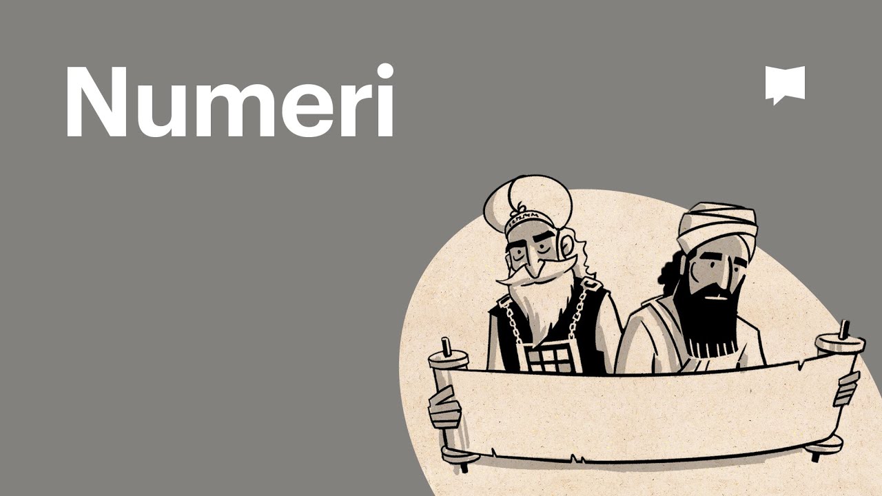 Oorsig: Numeri