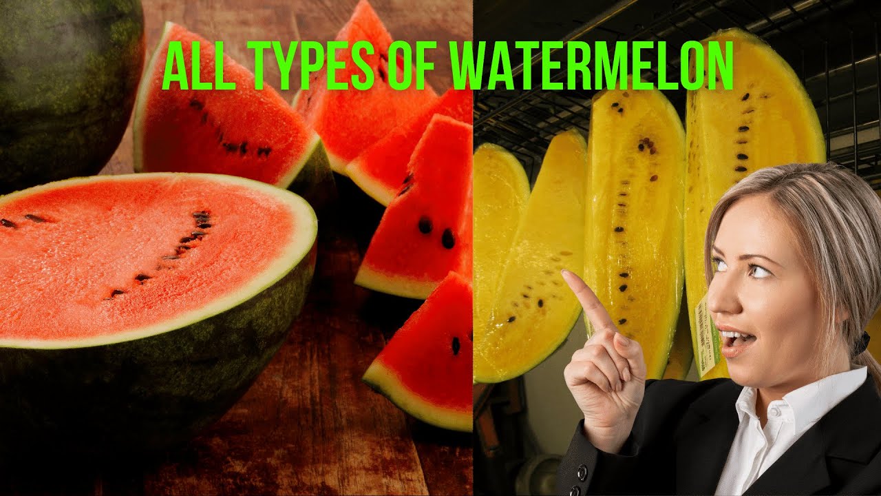 The Types Of Watermelon (Seedless_Picnic_Icebox_Yellow/Orange)
