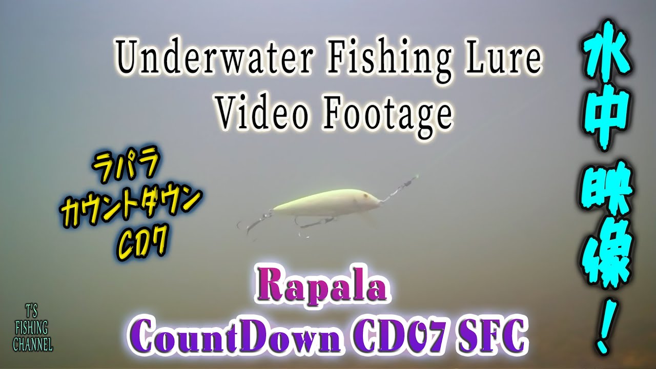ルアー水中映像 | Underwater Fishing Lure Video Footage | Rapala CountDown CD07 SFC | ラパラ カウントダウン CD7 チャート