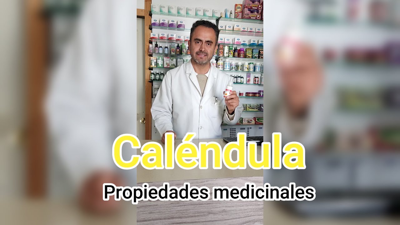 Calendula; propiedades medicinales