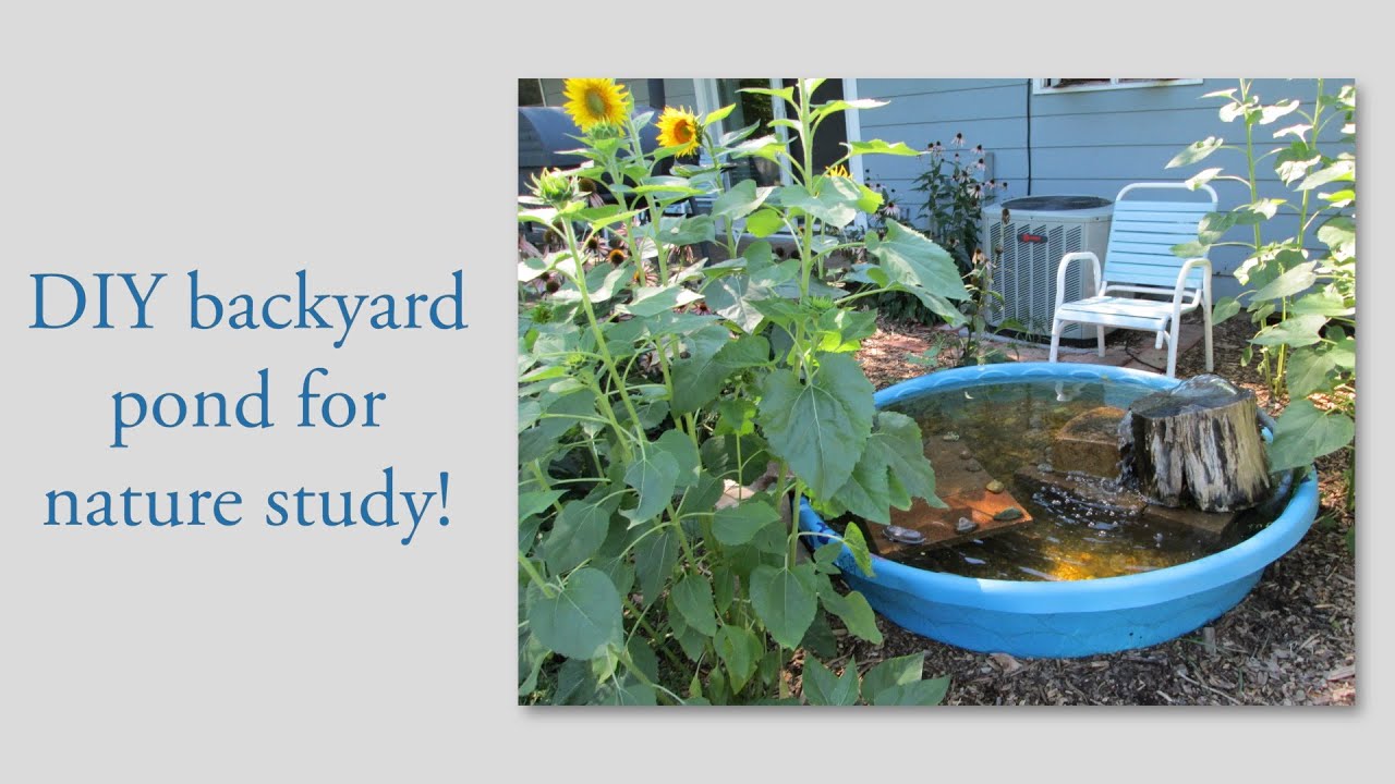 A Look at Karen's DIY Backyard Pond