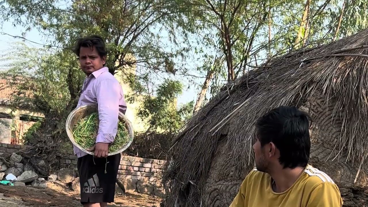 PADHAYI NA KARNA PADA BHARI || funny video comedy video Teambeniwal Chacha bhatije comedy 