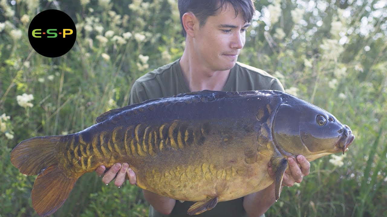 Catch more fish on chod rigs!
