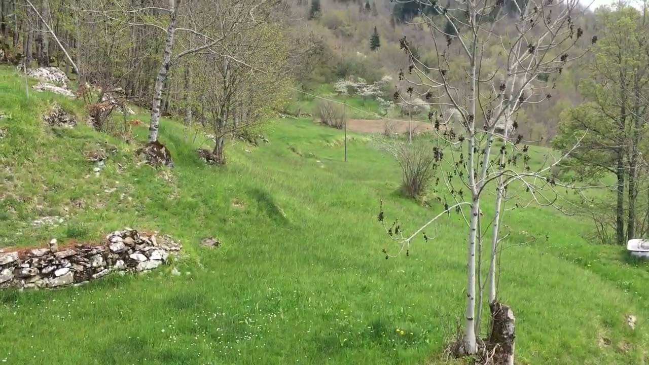 S.Stefano d'Aveto, loc. Allegrezze