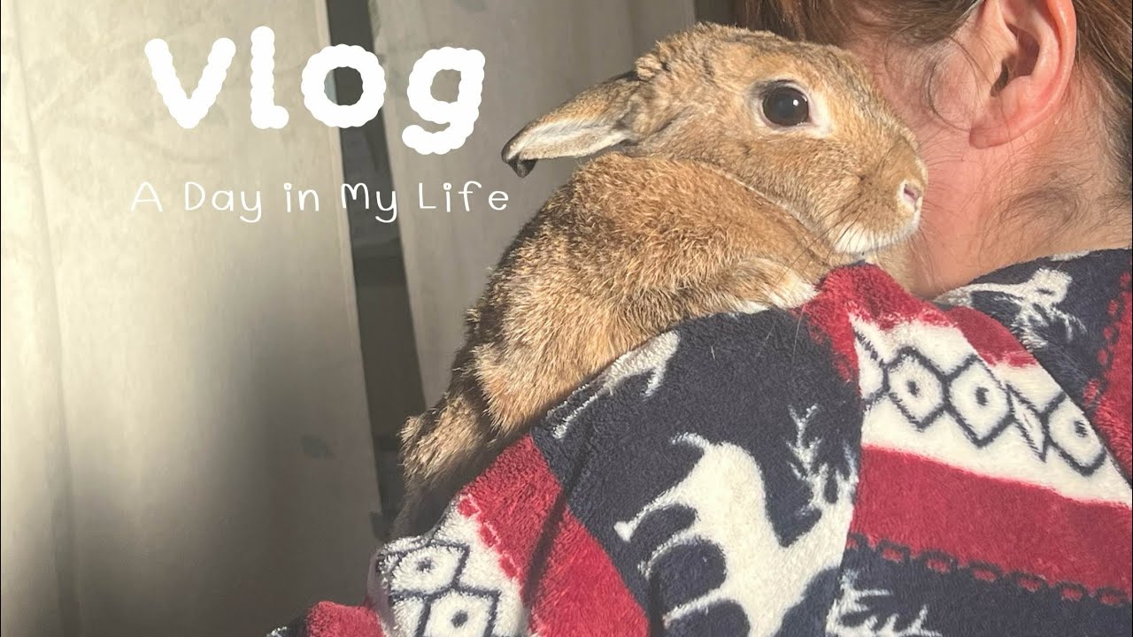 [vlog]専門学生のとある日の放課後ルーティン🐇
