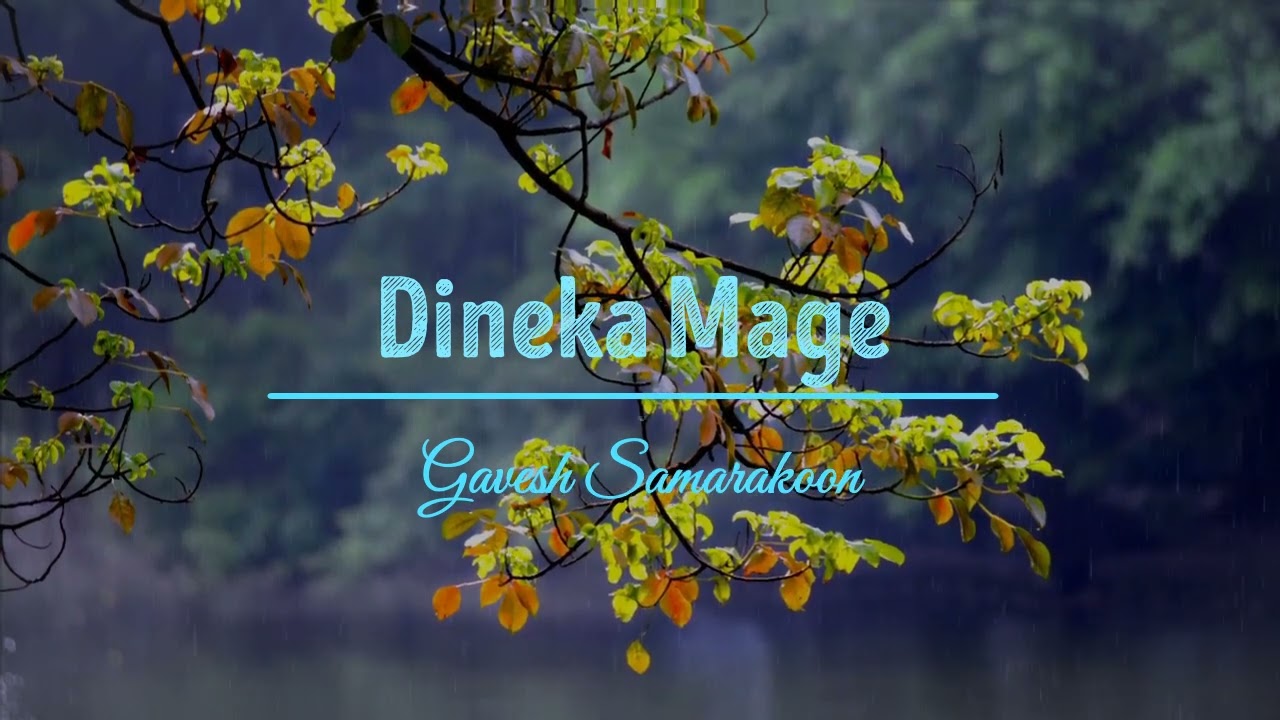 Dineka Mage Slowed+Reverb Shihan Mihiranga
