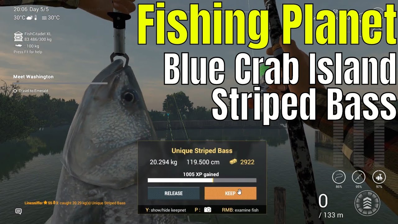 Fishing Planet | Blue Crab Island, Unique striped bass and black drum