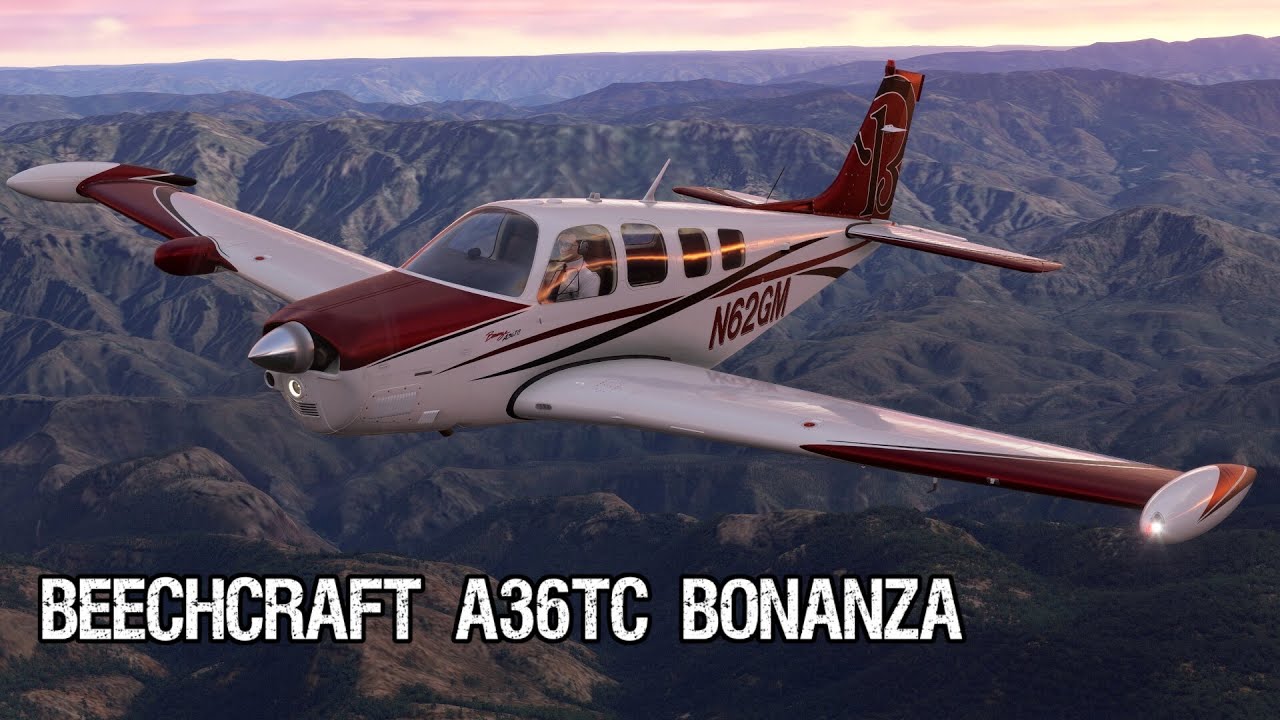 Beechcraft A36TC Bonanza ✈ BUSH TRIP │ MEXICO