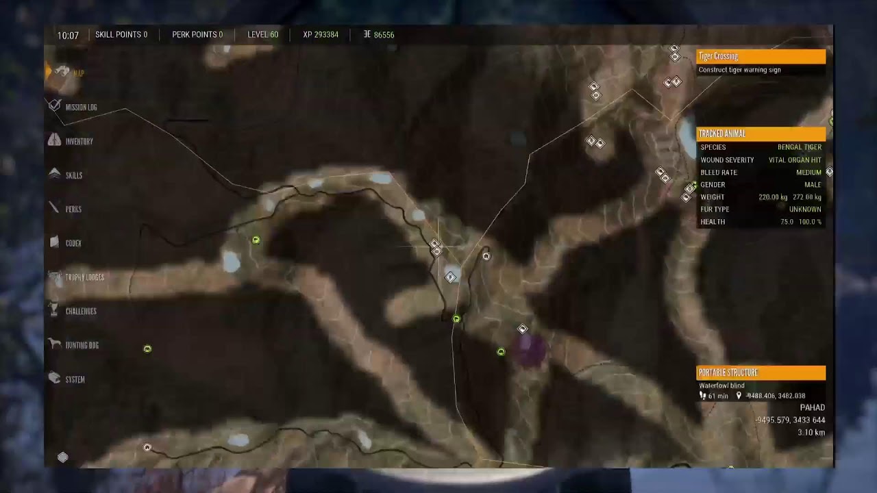 Fox and tarh grinding
