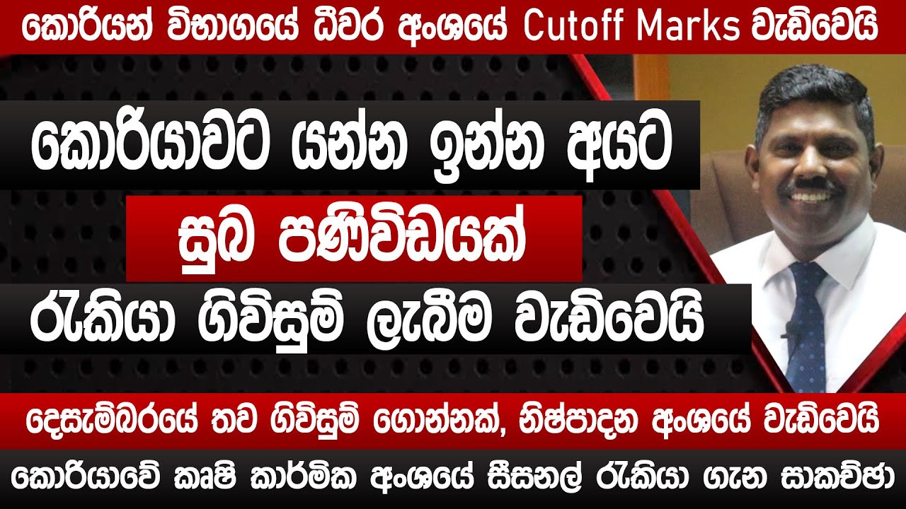 කොරියාවෙන් සුබ පණිවිඩයක් | රැකියා ගිවිසුම් ලැබීම වැඩිවෙයි |  korean exam 2023 | SLBFE | Sinhala