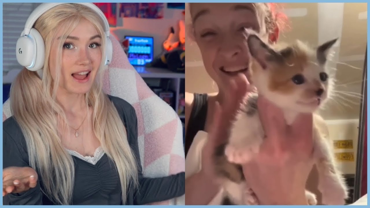 Funniest Internet Clips REACTION!!!