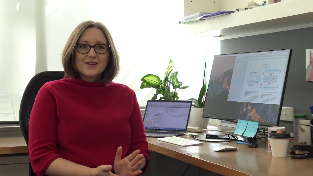 Daniela  Andrei's research at the Centre for Transformative Work Design