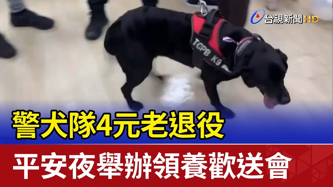 警犬隊4元老退役 平安夜舉辦領養歡送會